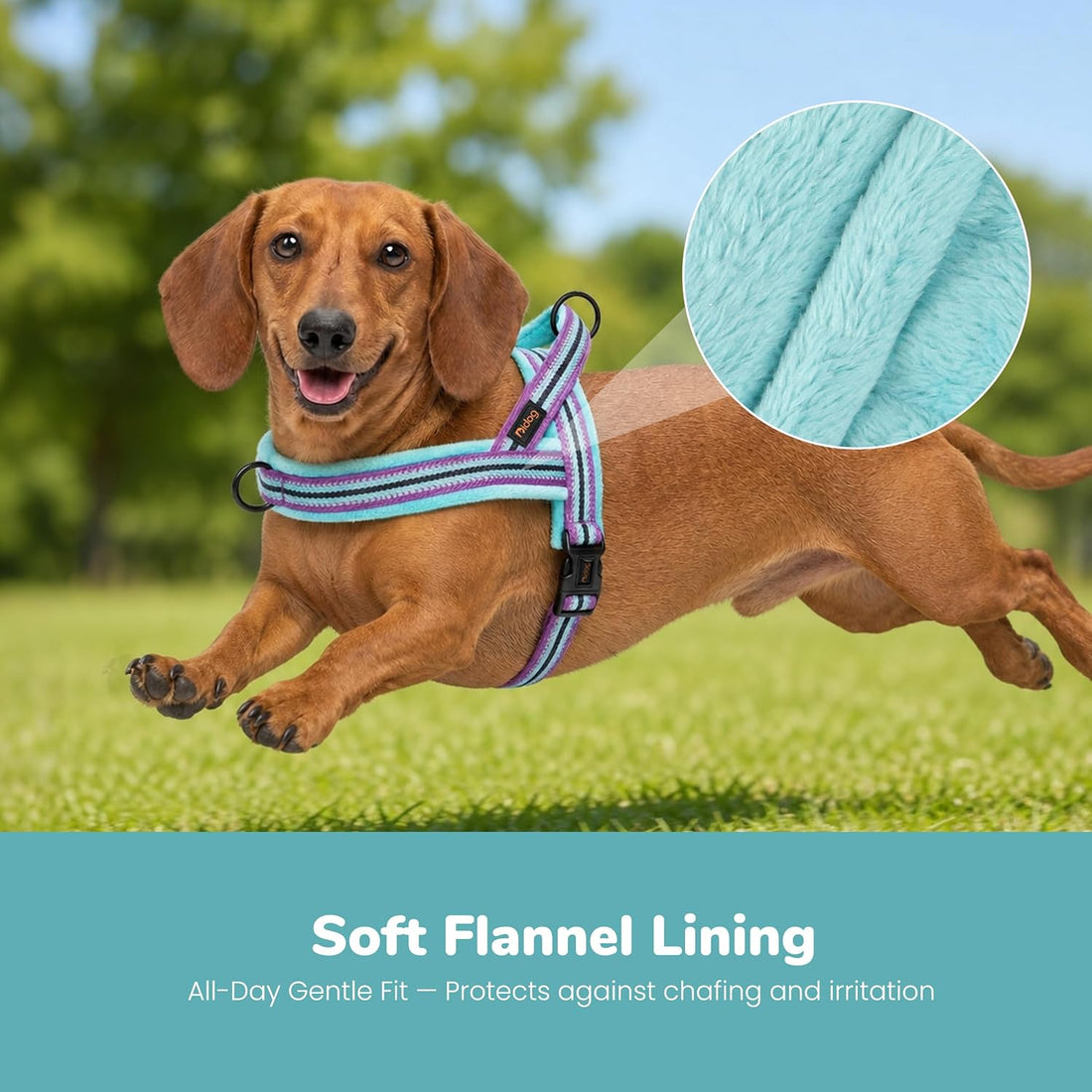 Didog No Pull Dog Harness for Small Dogs