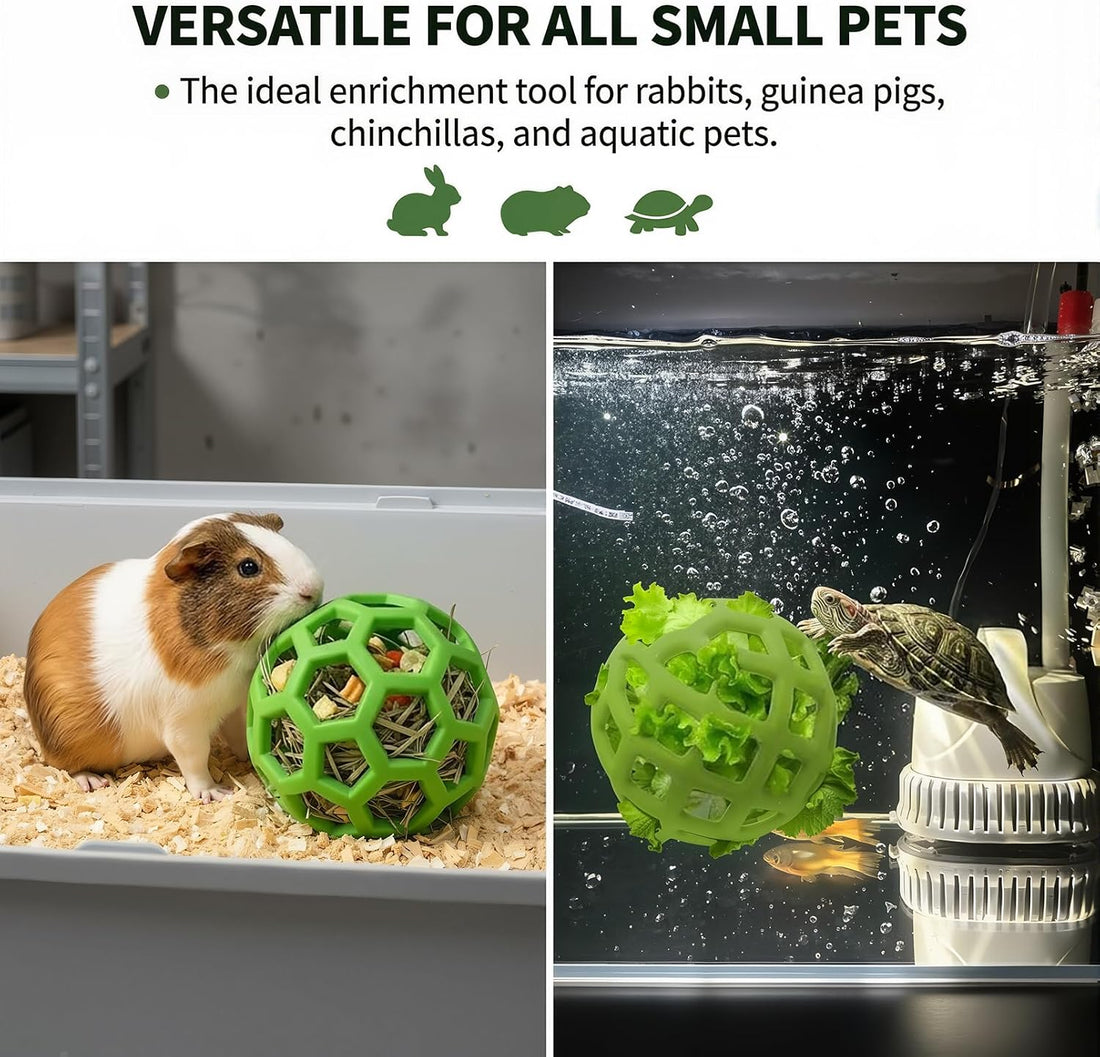 3-Piece Turtle Shell Brush & Feeder Ball Set
