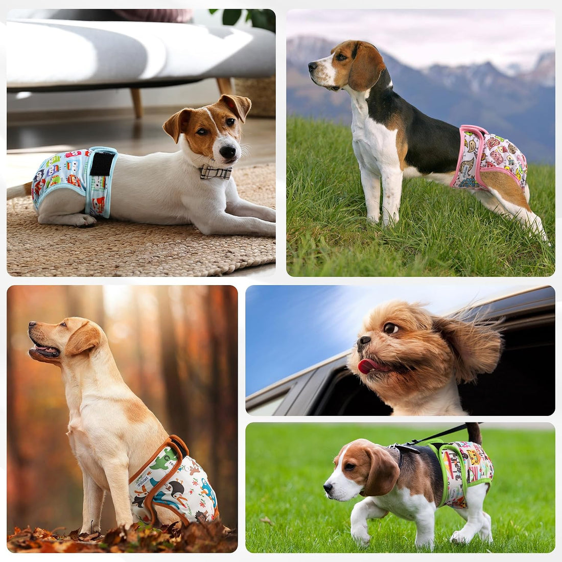 Dog Diapers Female 5pcs,Reusable Dog Doggie Puppy Doggy Diapers Female