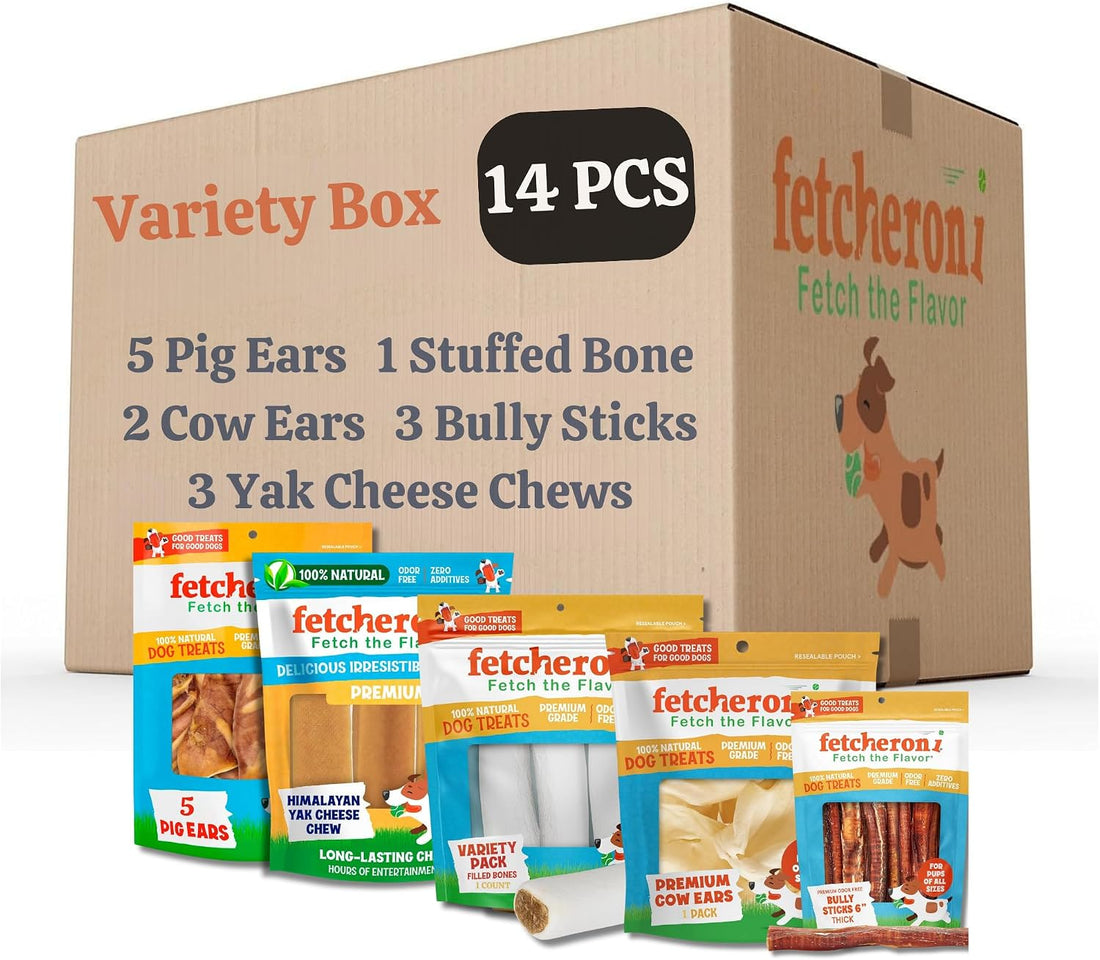 FETCHERONI Dog Treat Variety Box - Long Lasting Dog Chew Treats