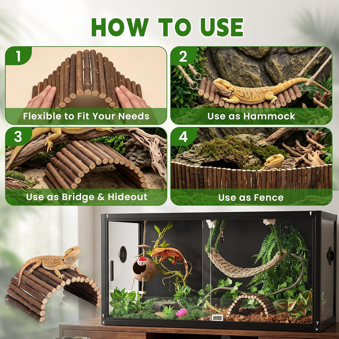 Reptile Plants for Bearded Dragon Tank Accessories
