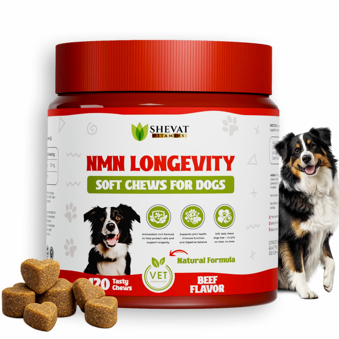 NMN Longevity Soft Chews for Dogs – Beef Flavored