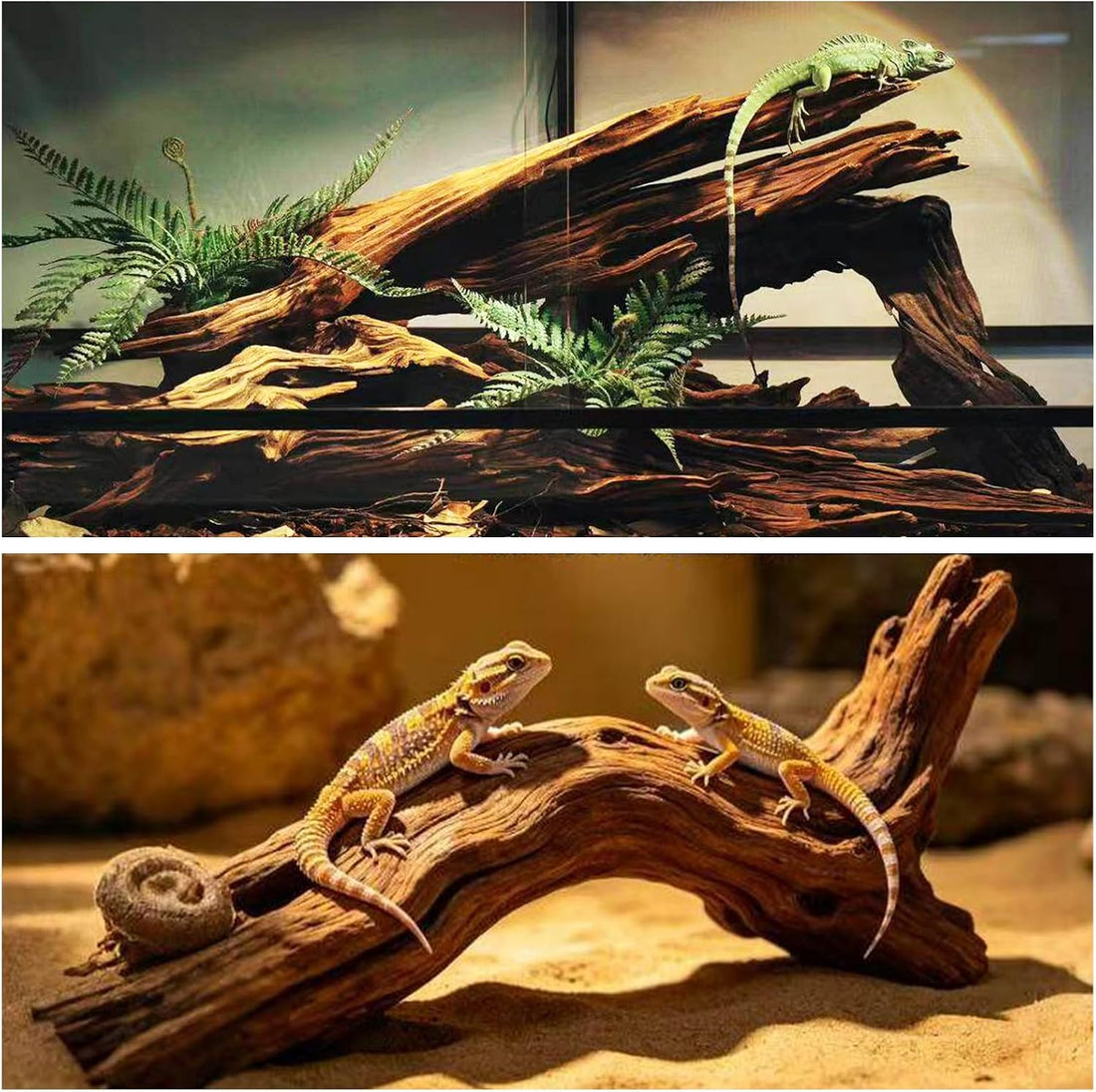 Hamiledyi Bearded Dragon Driftwood for Reptile
