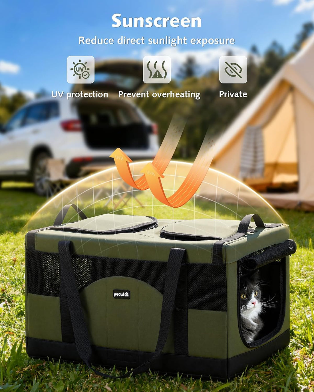 Pecute Large Cat Carrier, Soft Double Pet Crate for 2 Cats Travel