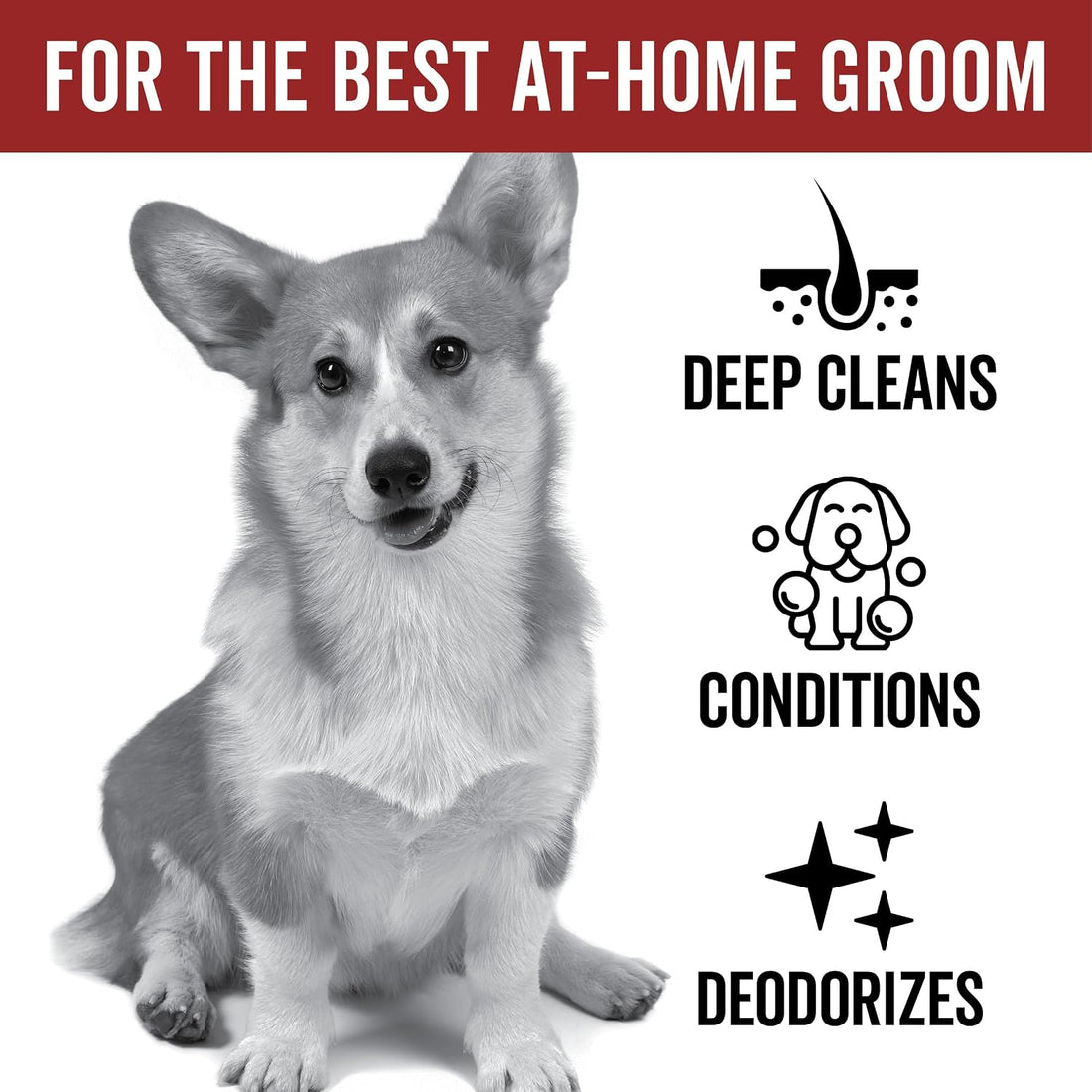 Pride and Groom DogDays Deshedding Dog Shampoo