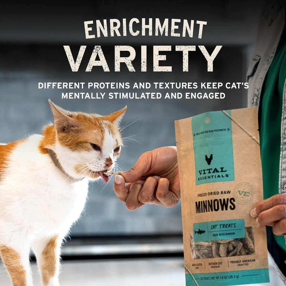 Vital Essentials Freeze Dried Cat Treats, Salmon, 3 oz Bag