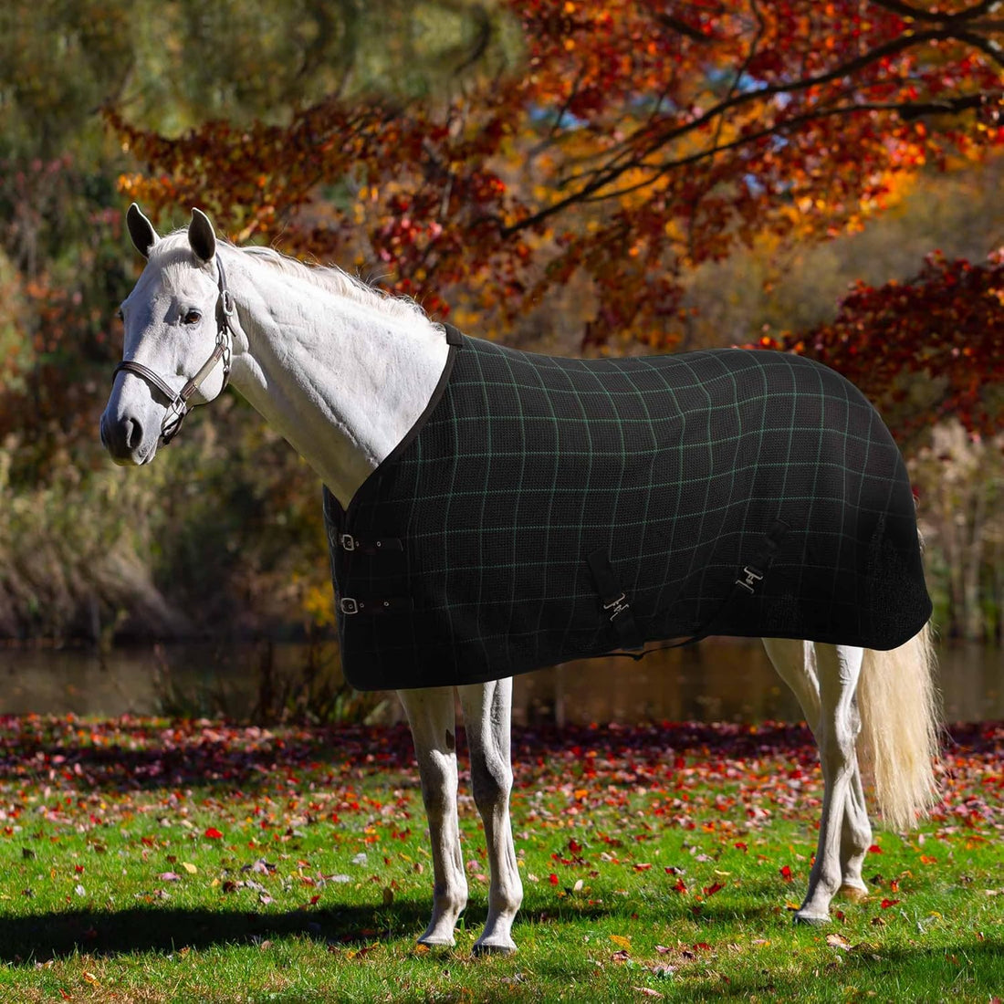 Equinavia Luftig Waffle Horse Cooler Blanket, Cotton, Moisture Wicking