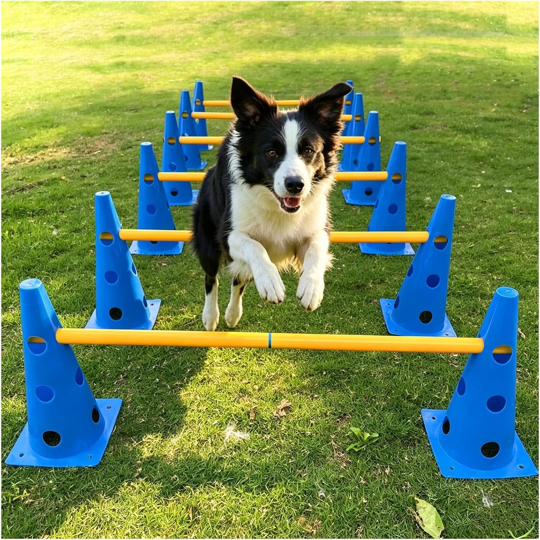 Dog Agility Set, Jump Ring, Jump Poles, Pause Box & Bag
