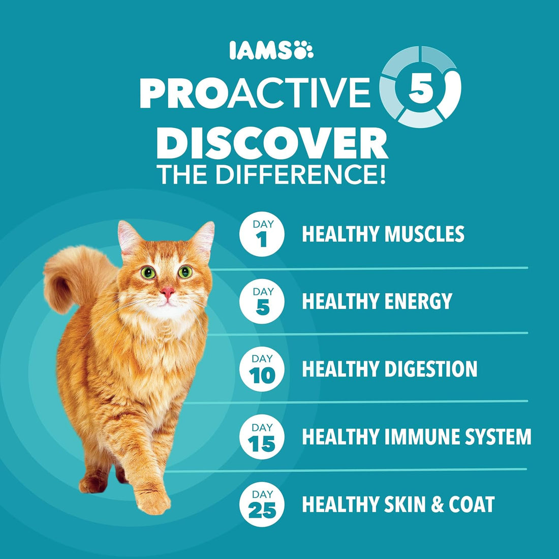 IAMS Proactive Health Dry Cat Food