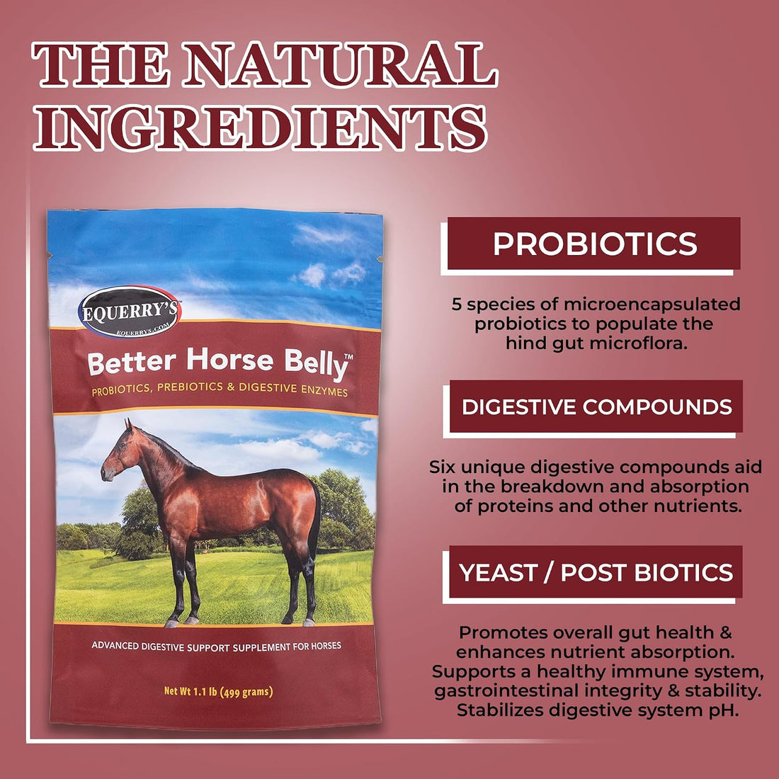 EQUERRY'S Better Horse Belly - Supplement for Horses with Gut Support