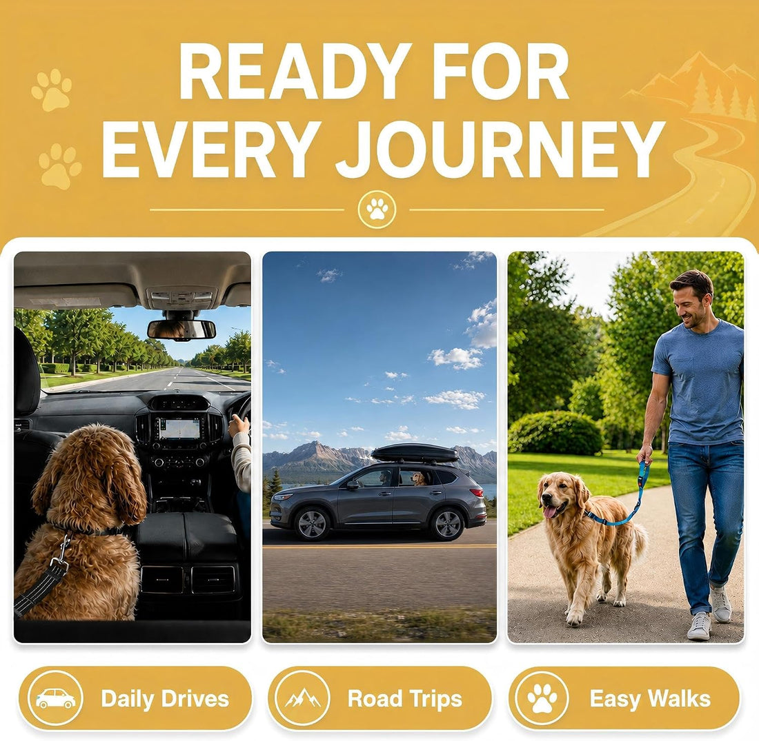 Dog Seat Belt for Car 2 Pack, 3-in-1 Adjustable-Length Bungee Tether