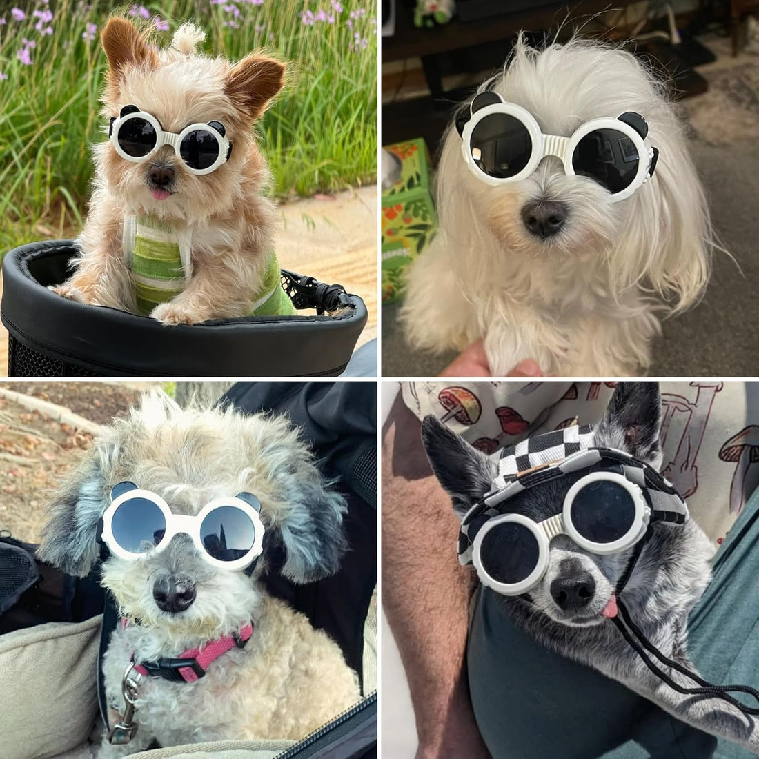 Dog Goggles for Small Breed, Anti-UV Windproof Extra Small Dog
