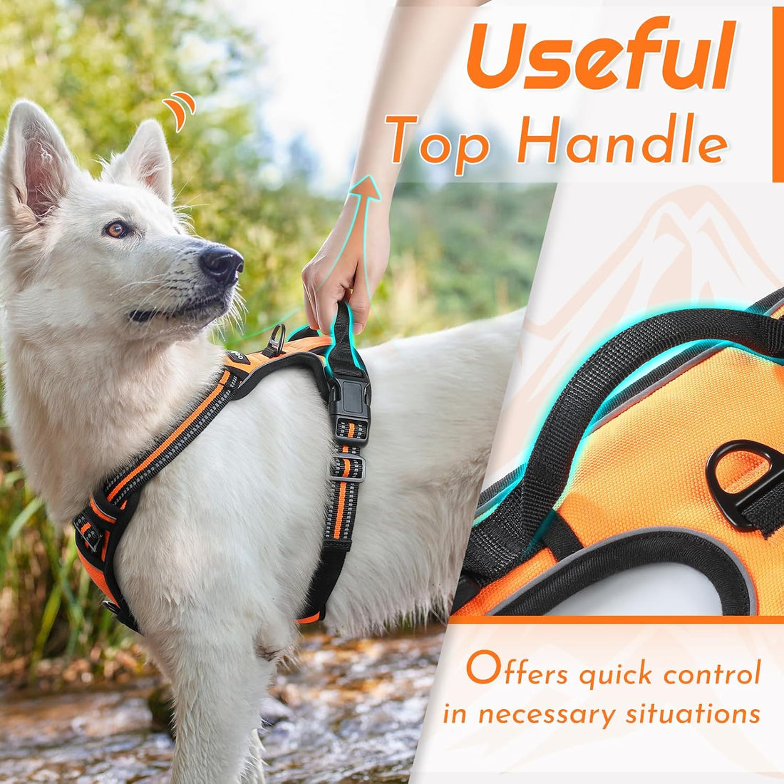 Eagloo Dog Harness for Large Dogs, No Pull Pet Vest with 2 Leash Clips