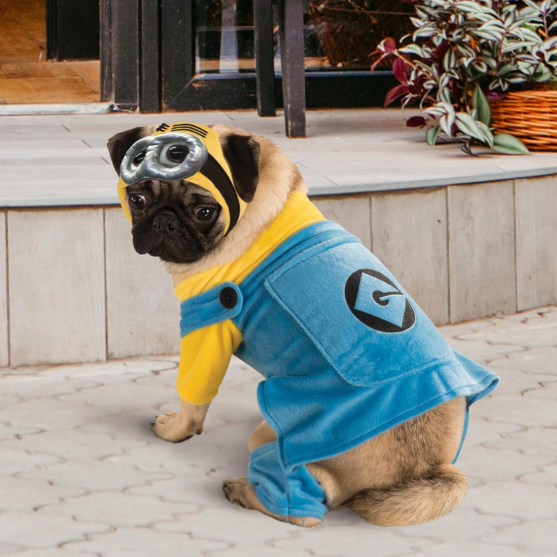Rubies Despicable Me: Minion Pet Costume for Dogs or Cats, Large