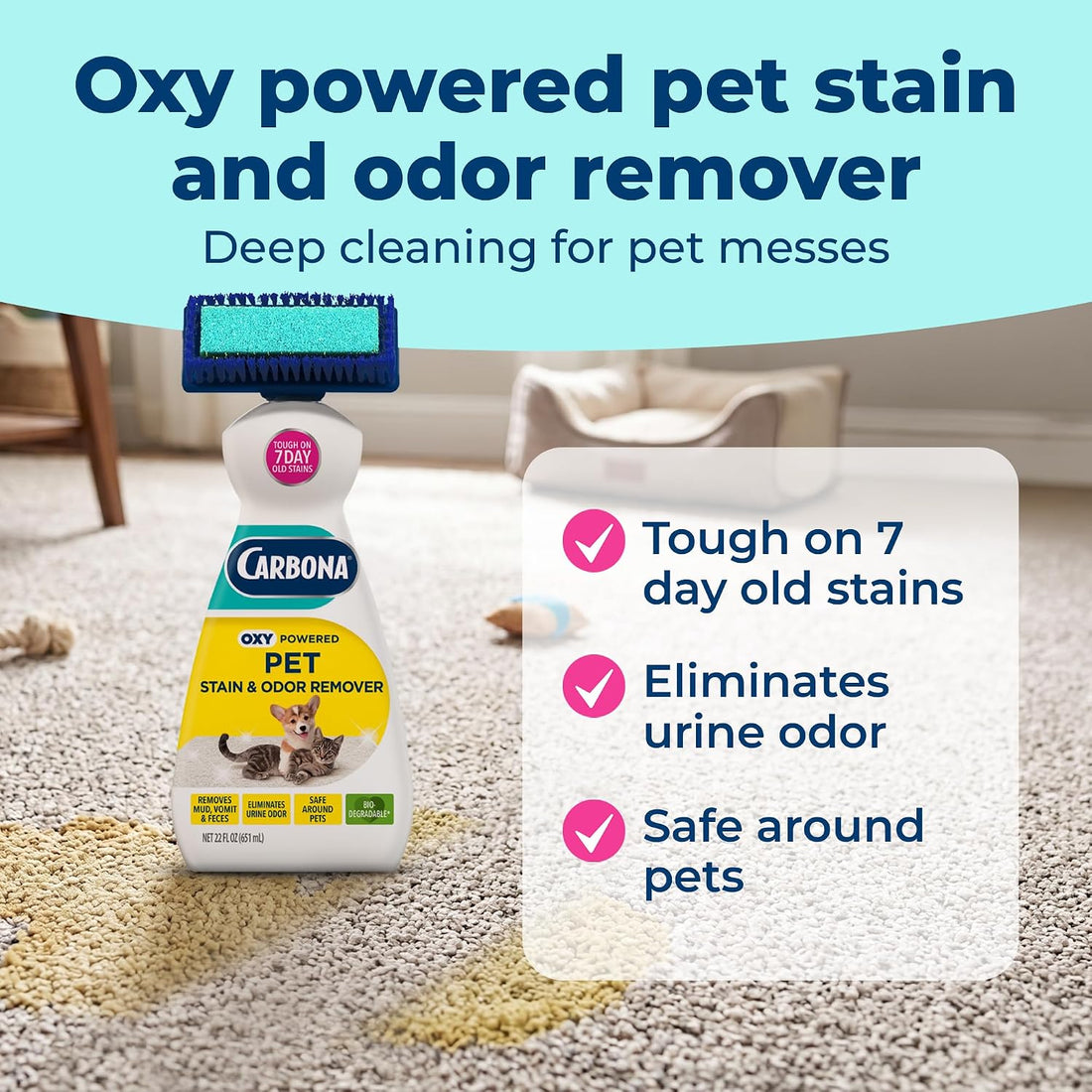 Carbona 2-in-1 Oxy-Powered Pet Stain & Odor Remover, 22 Fl Oz