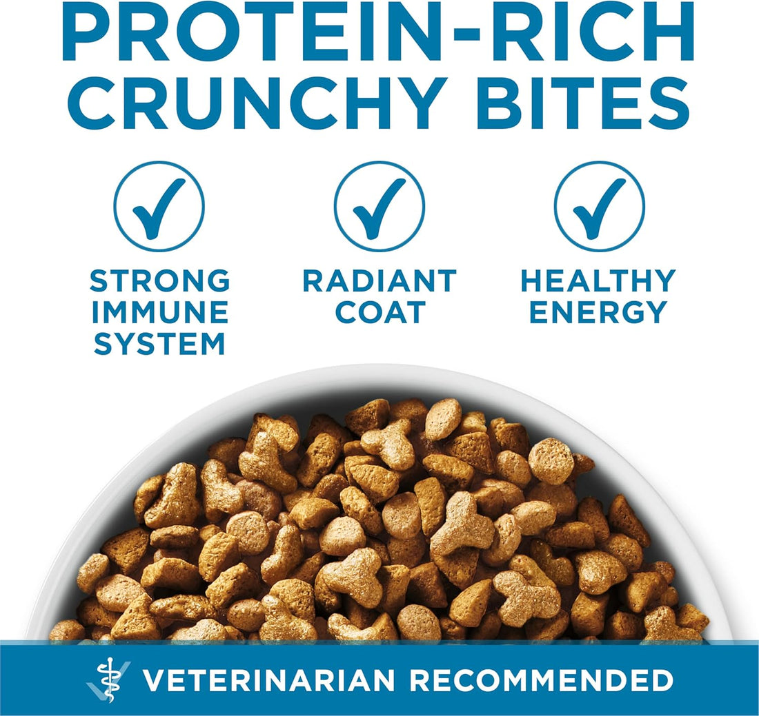 Purina ONE Indoor Advantage Senior Dry Cat Food, High Protein