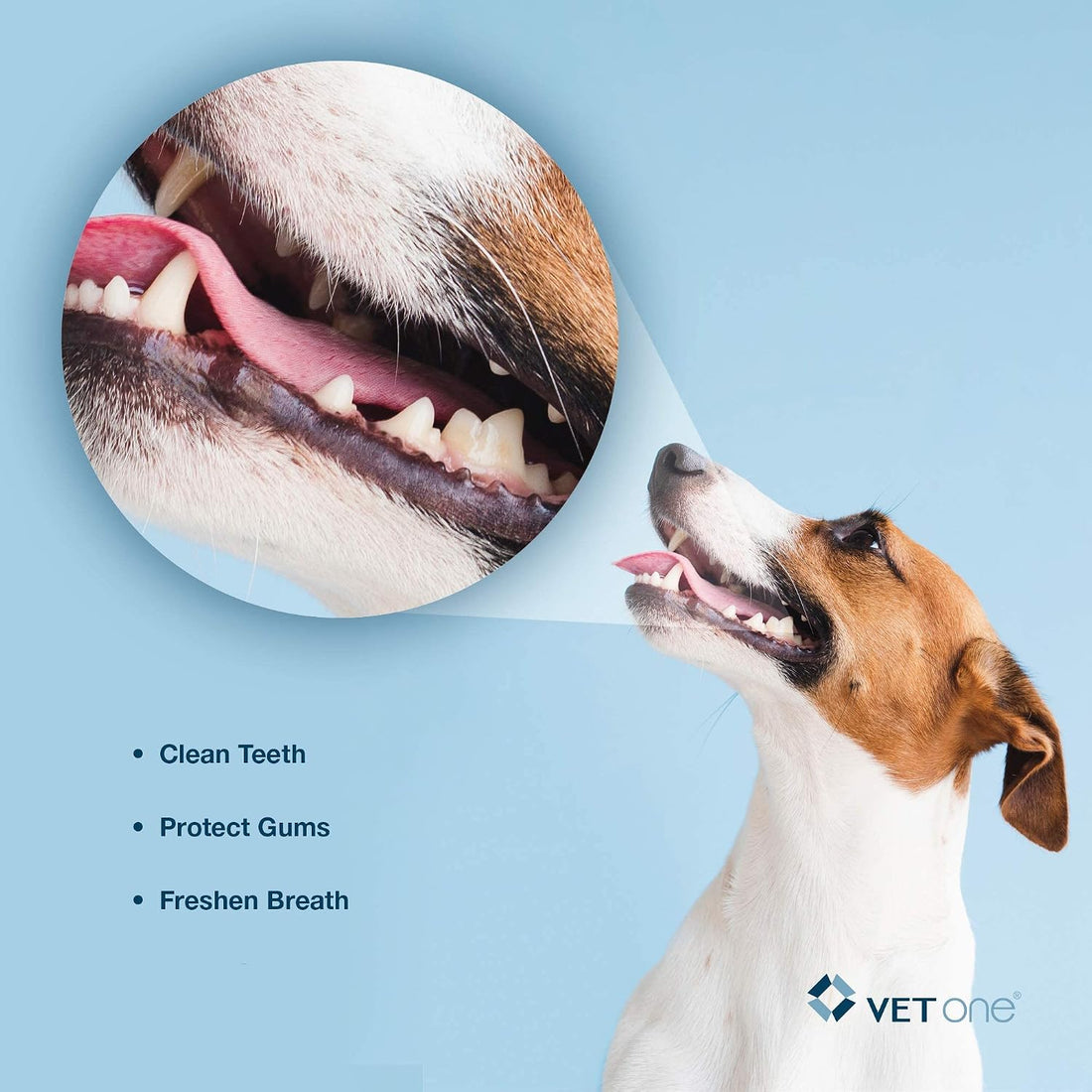 VetOne DuoClenz Dental Chews for Dogs