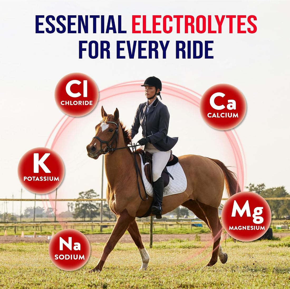 Horse Electrolytes Powder, Tasty Equine Hydration, Just Add to Water