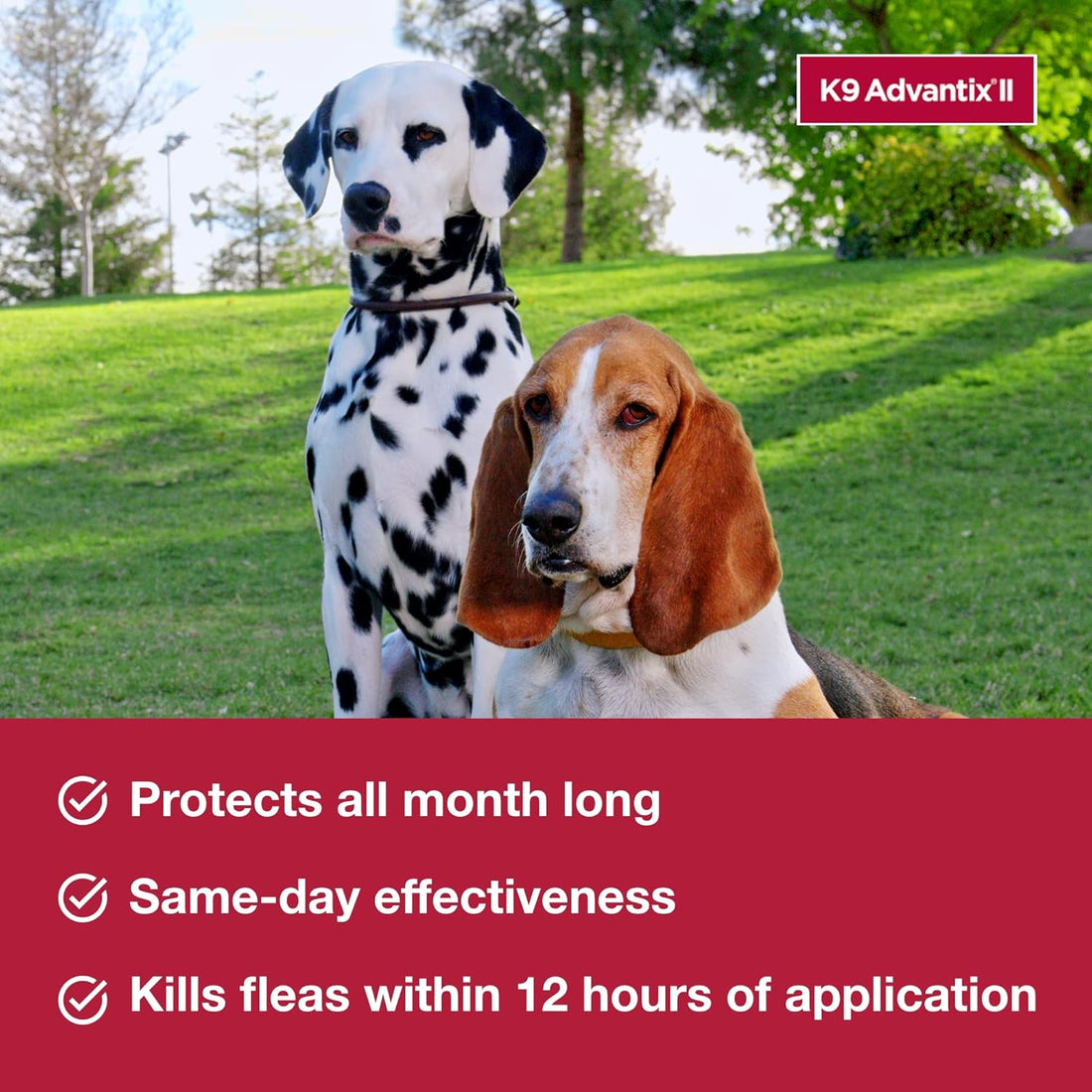 K9 Advantix II Small Dog Vet-Recommended Flea