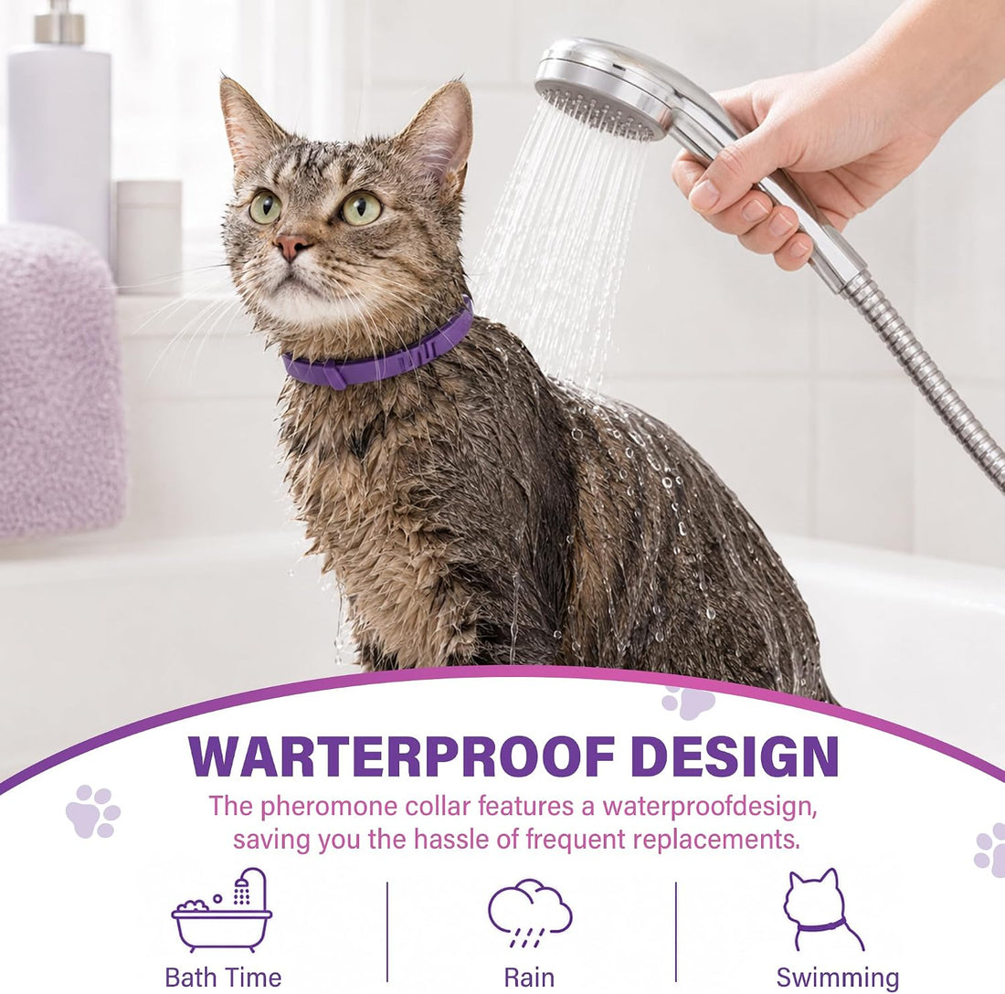 6 Pack Calming Collar for Cats