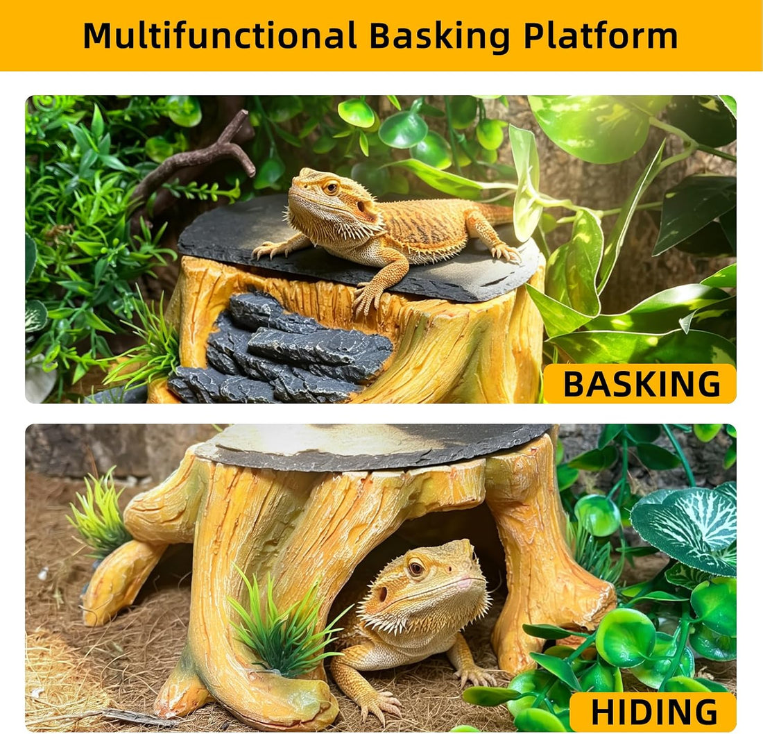 Bearded Dragon Basking Platform,Reptile Hide Cave with Basking Rock