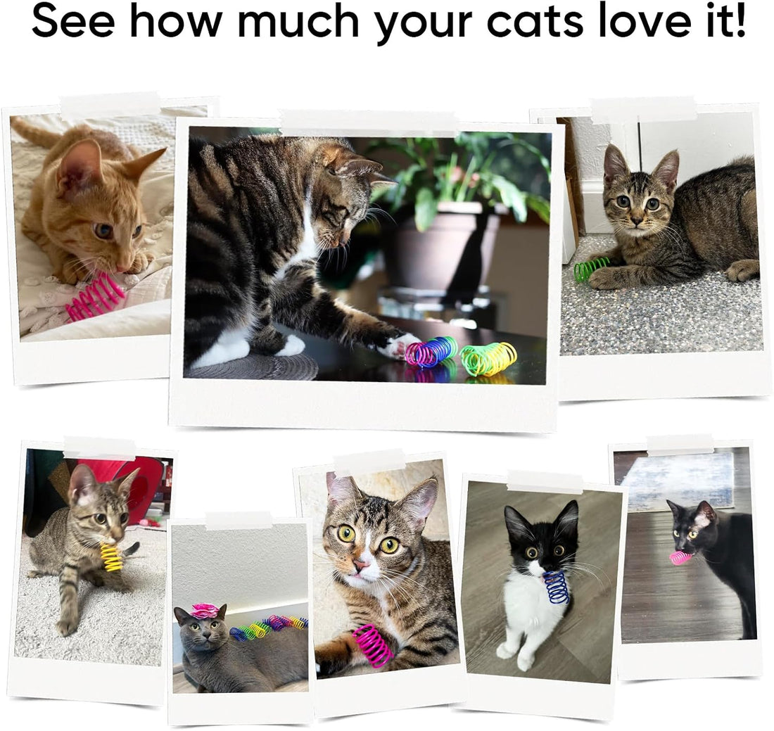 Cat Toys for Indoor Cats, 12 Pack Interactive Cat Spring Toys, 6Colors