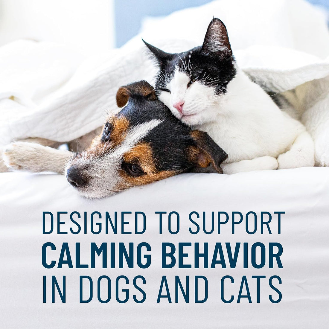 Nutramax Solliquin Calming Behavioral Health Supplement for Small