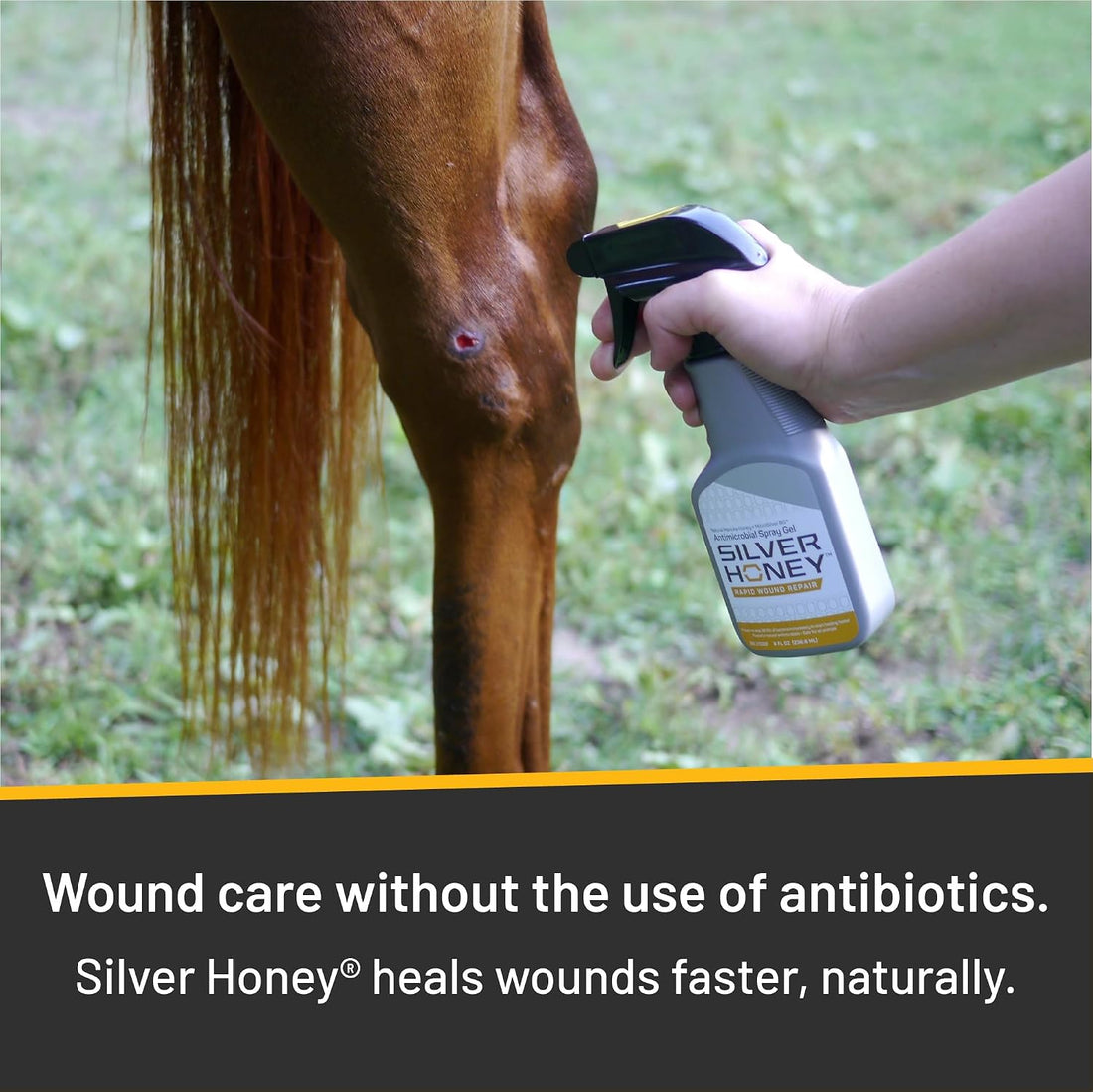 Silver Honey Rapid Wound Repair Spray Gel, 8 fl oz