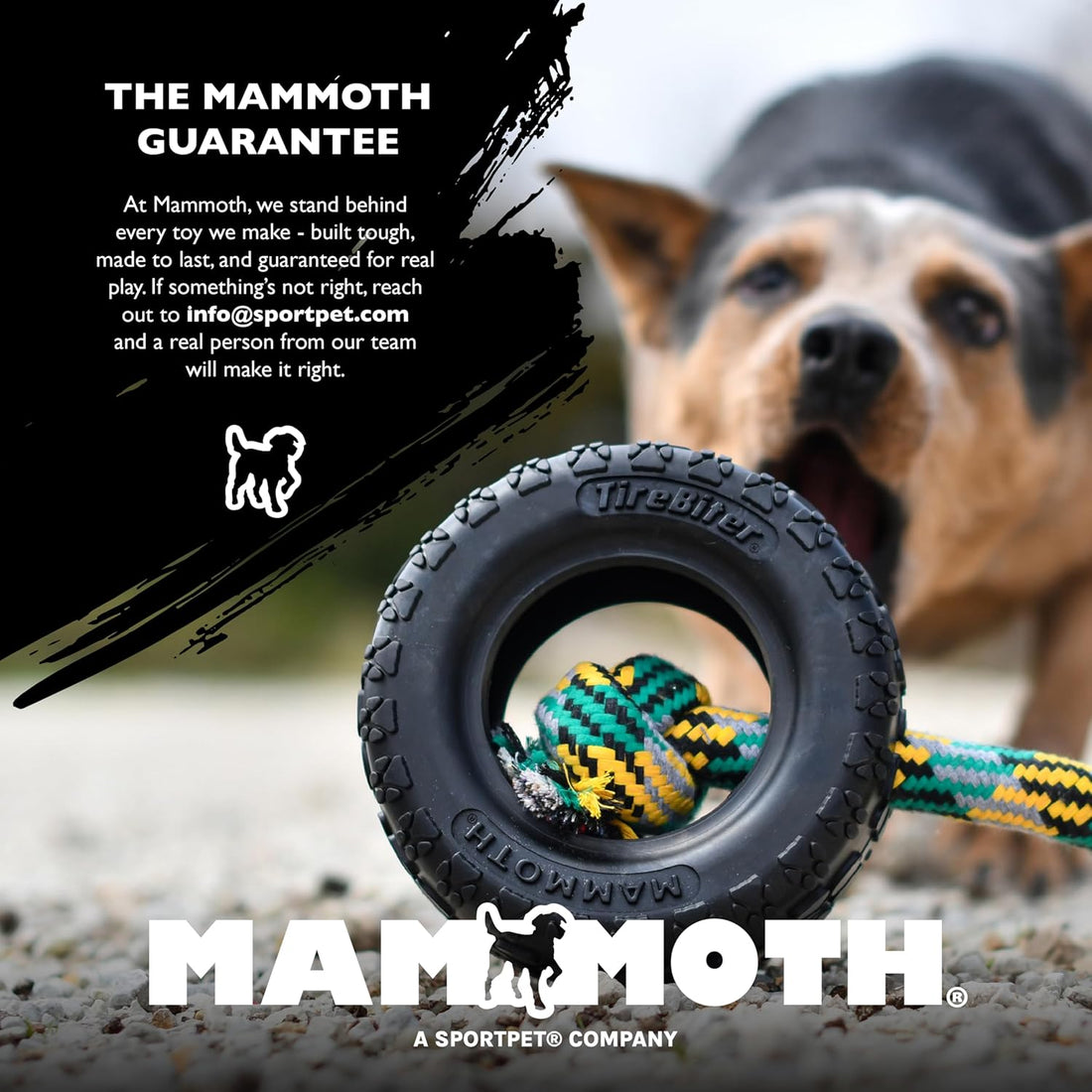 Chew King by Mammoth Set of 2 Glowing Fetch Ball