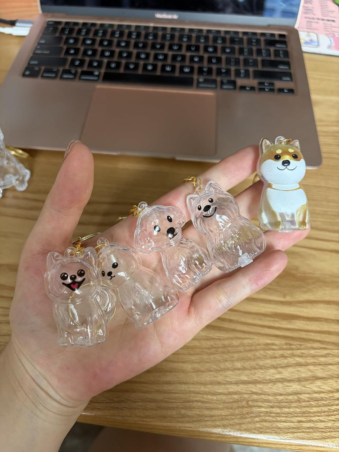 3D Clear Pet Hair Keepsake Keychain