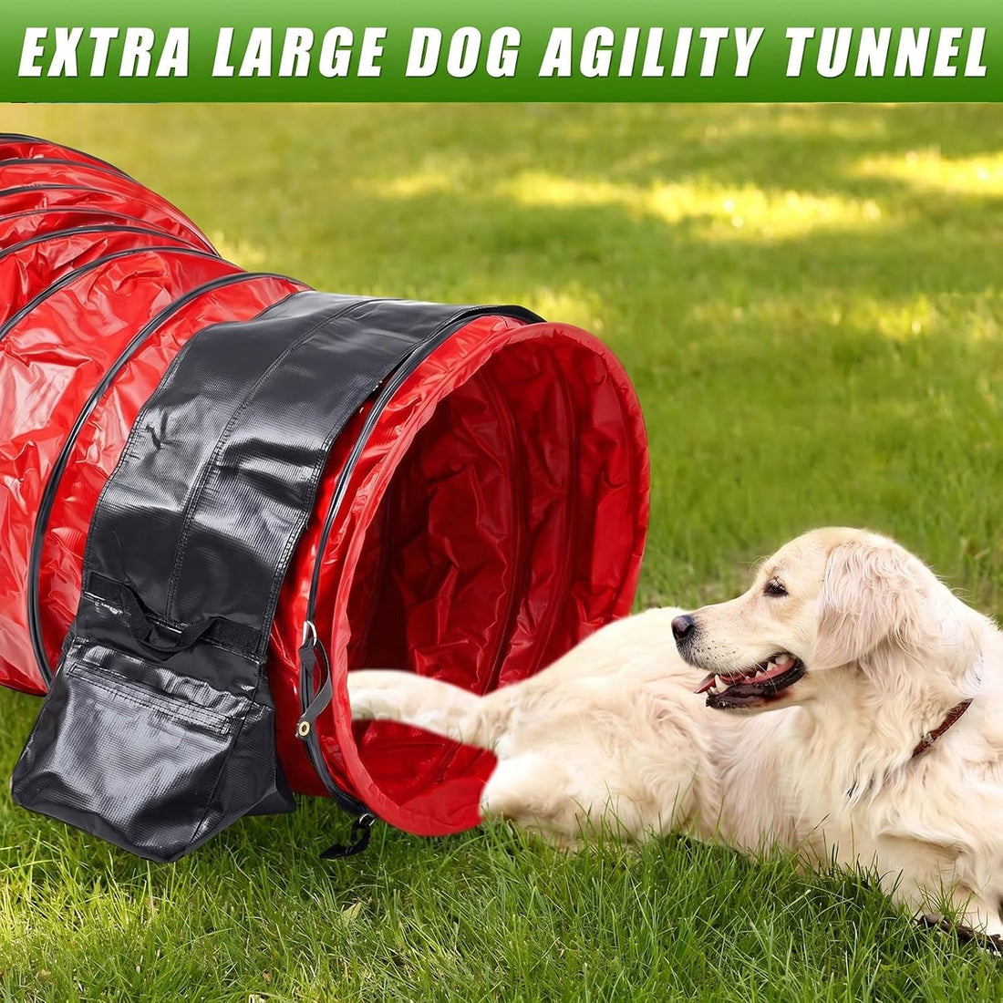 Briwooody 24 in 10 Foot PVC Dog Agility Tunnel with Sandbags Dogs
