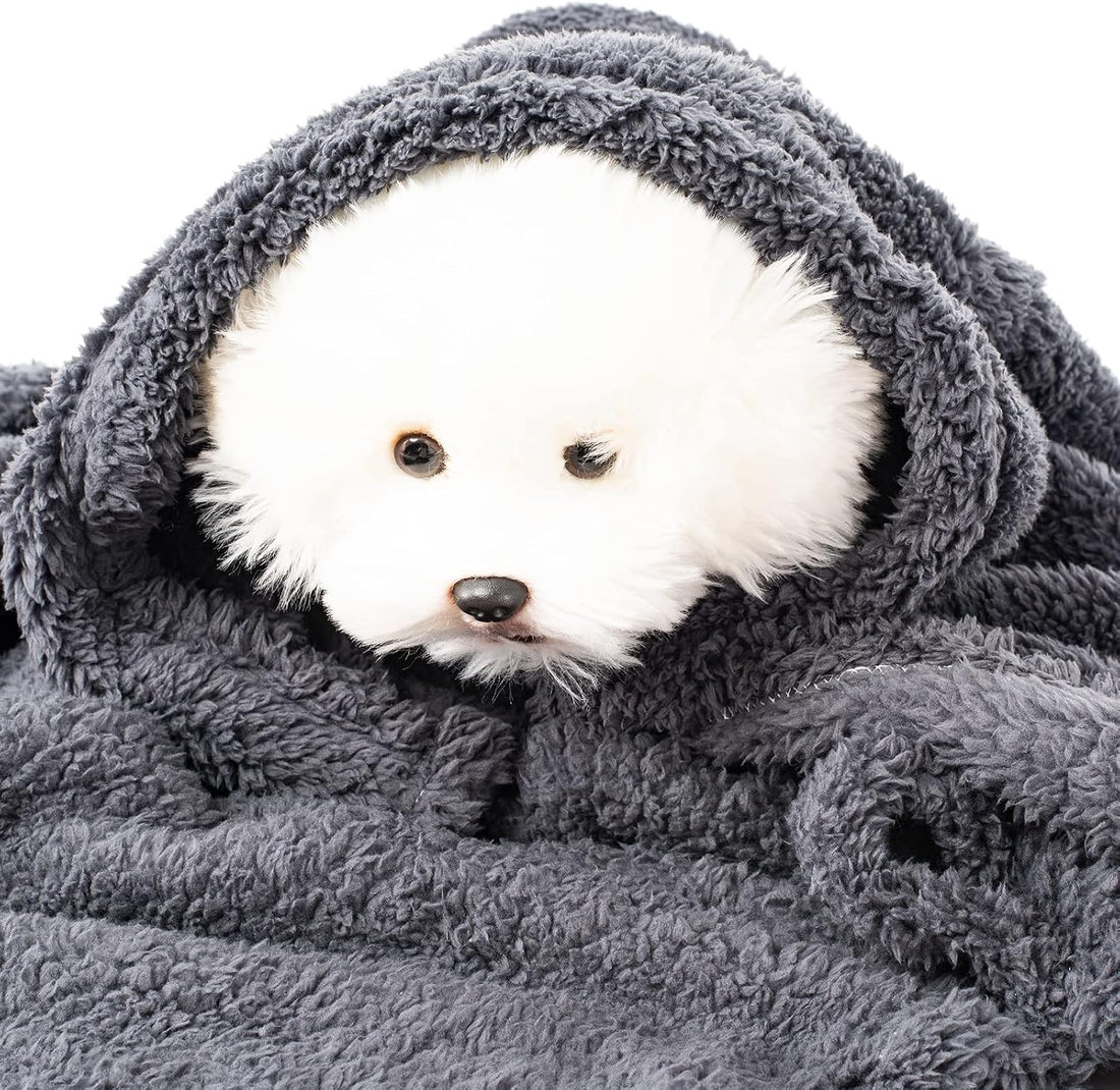 2 Blankets, Dog Cat Pet Blanket, Soft Warm Fleece, for Puppy