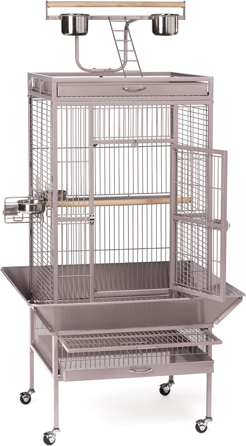 Prevue Pet Products Wrought Iron Select Bird Cage - L