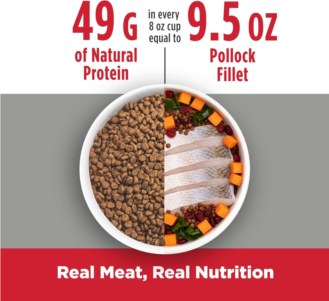 Nulo Freestyle Senior Grain-Free Dry Cat Food, Pollock & Sweet Potato