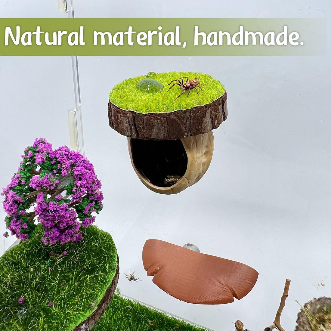 Jumping Spider Hideout - Magnetic Hiding Habitat, Climbing Platform