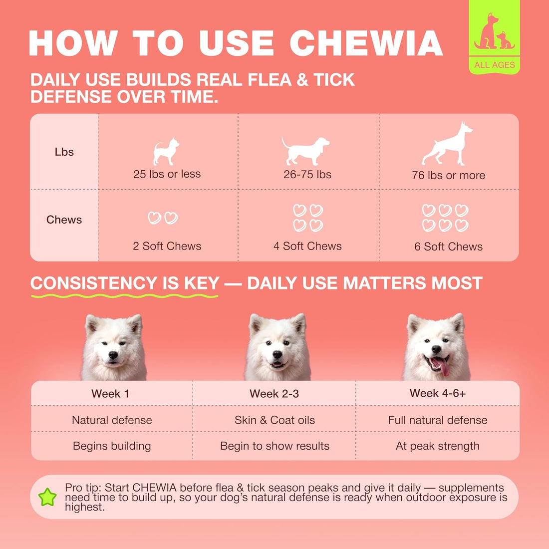 Dog Flea & Tick Chews – Oral Chewable Flea and Tick Prevention