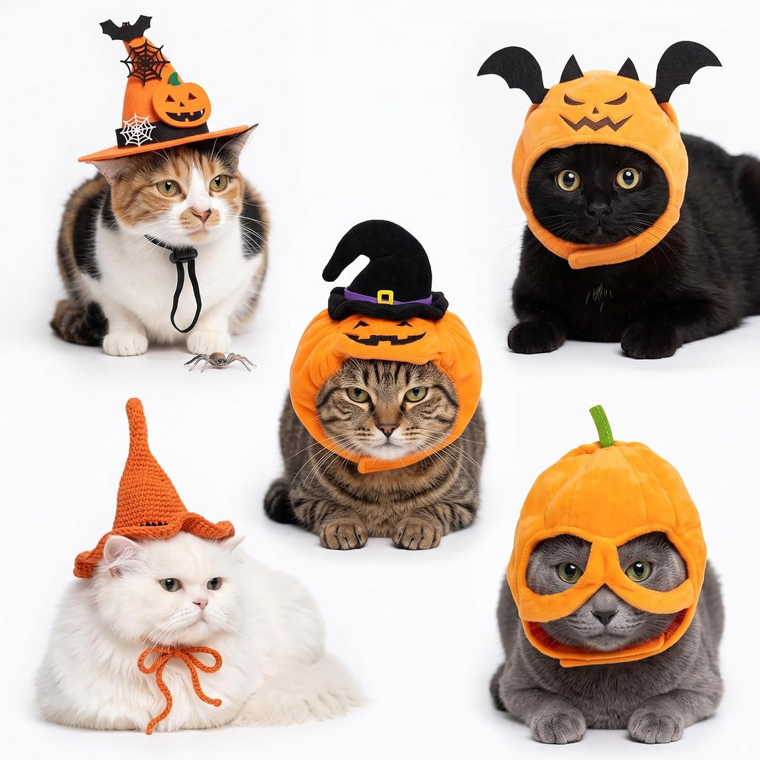 5-Pack Cat Halloween Hat Set - Witch Pumpkin Bat
