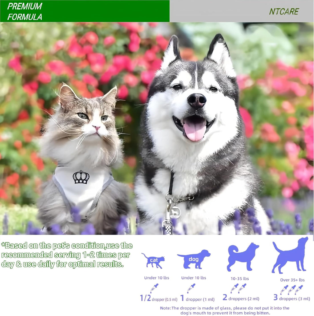Kennel Cough Drops for Dogs & Cats, 2 Oz
