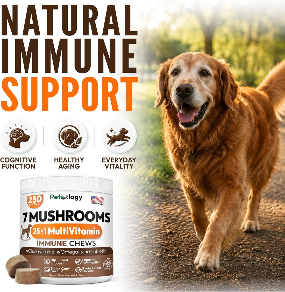 Turkey Tail Mushroom for Dogs - 250 Chews - Lion’s Mane - Shiitake