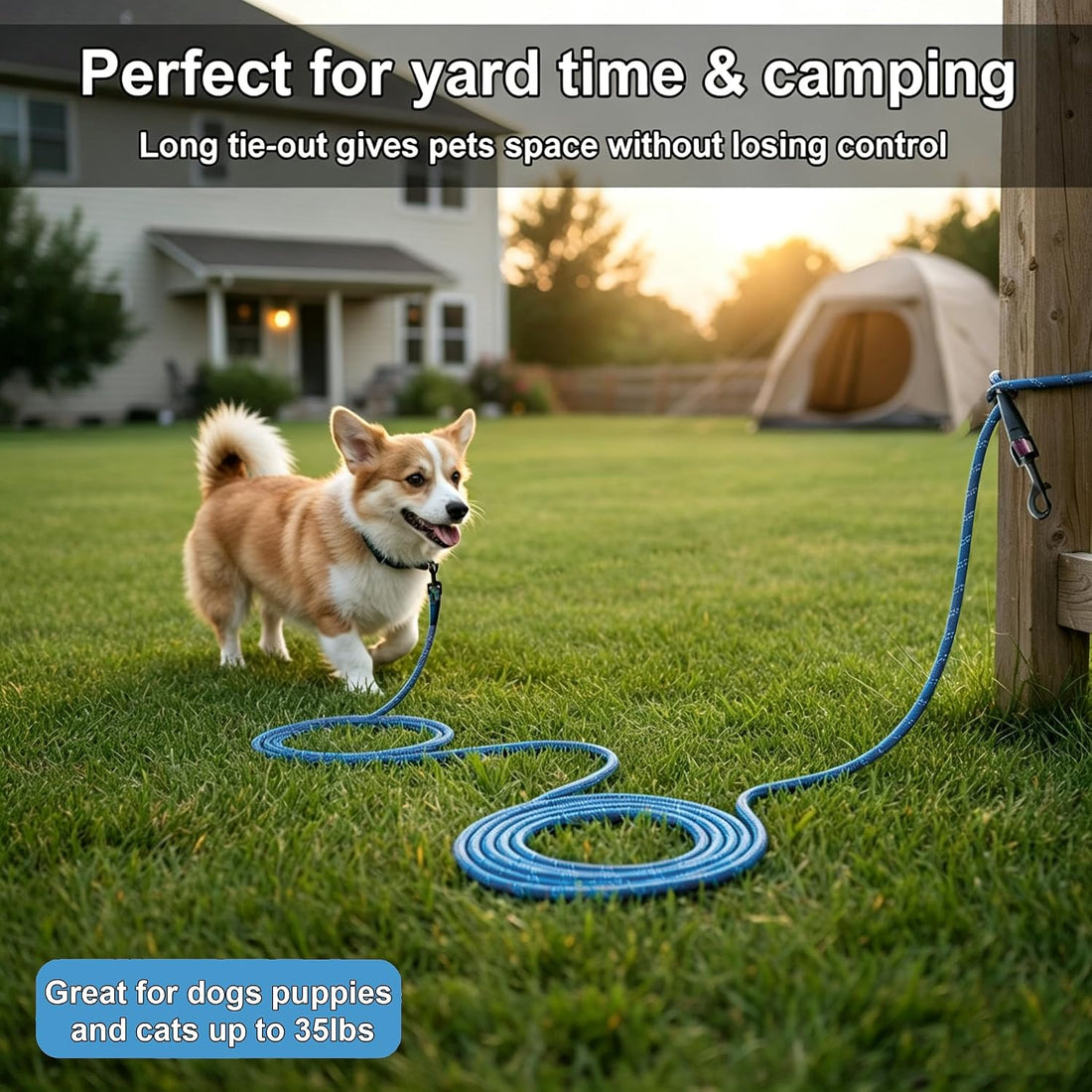 BTINESFUL 20ft Reflective Small Tie Out for Dogs up to 35lbs