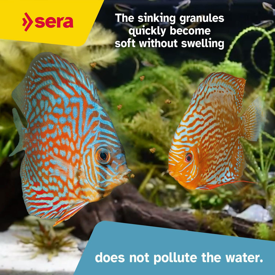 Sera Discus Color Gran 250ml (8.4 fl oz) | Premium Discus Fish Food