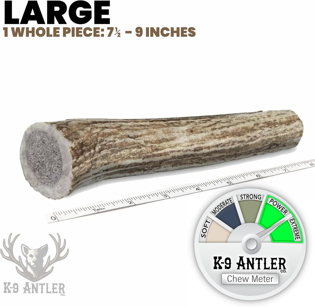 Elk Antlers for Dogs – Large Whole Natural Chew