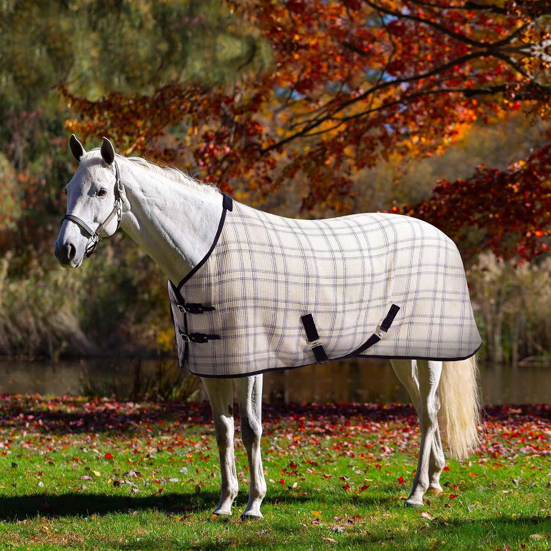 Equinavia Luftig Waffle Horse Cooler Blanket, Cotton, Moisture Wicking