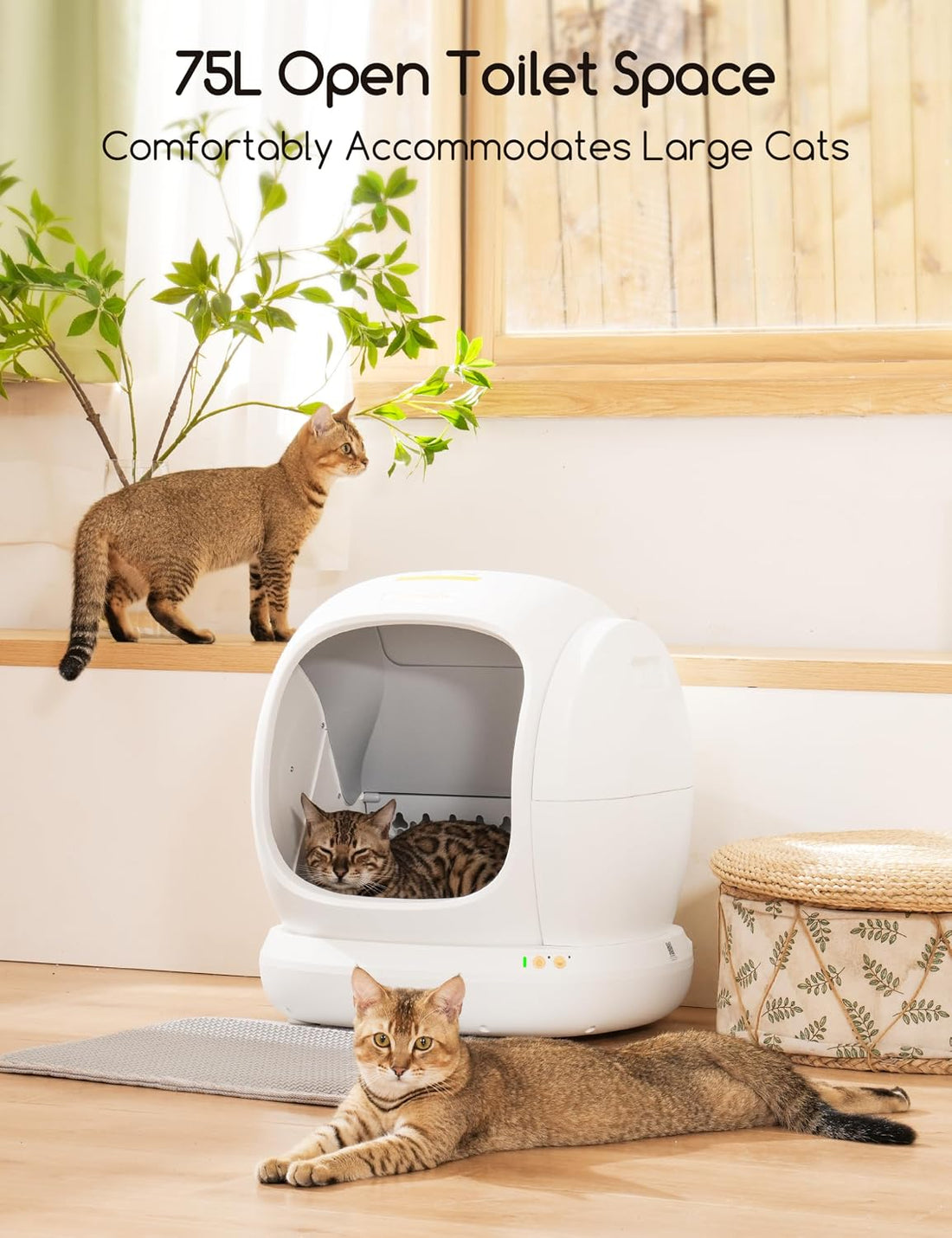 Meowant Self-Cleaning Cat Litter Box, 75L Extra Large Open-Top