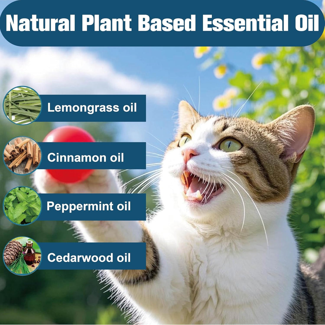 Advanllent Flea Collar for Cats, Flea and Tick Collars for Kittens