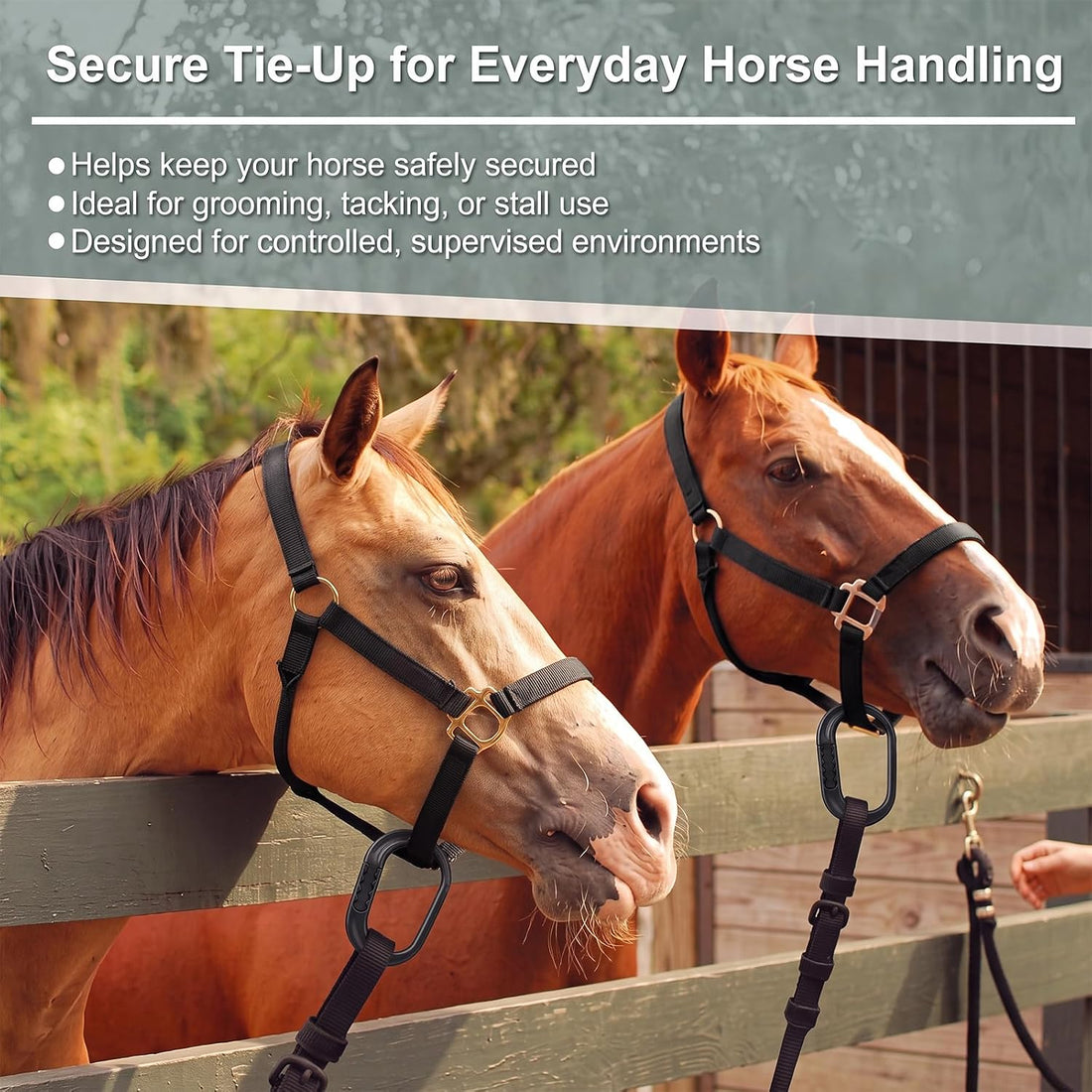 Aliceset 6 Pcs Protective Horse Blocker Tie Multi-Purpose Horse Clip