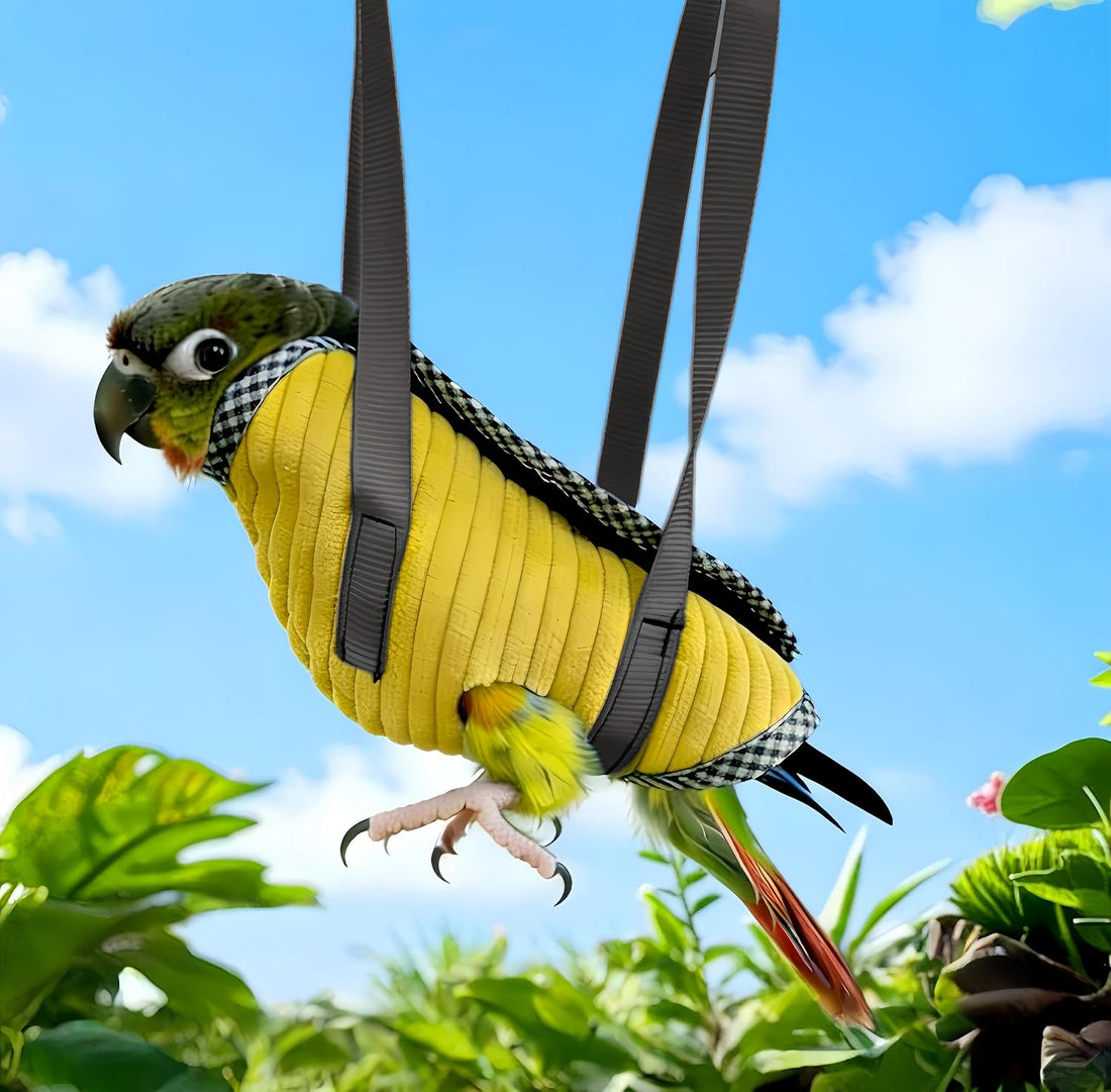 2Pcs Portable Bird Carrier Bag
