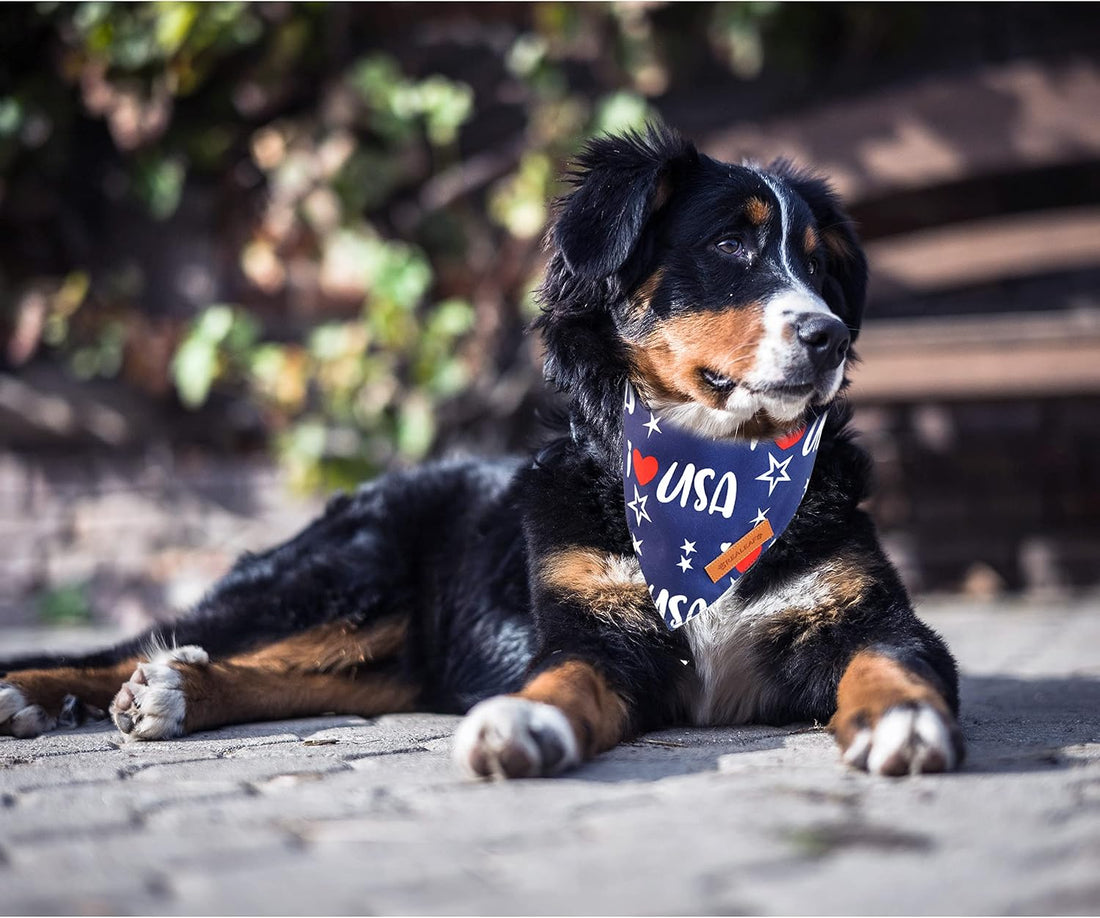 Realeaf 4th of July Bandanas 2 Pack