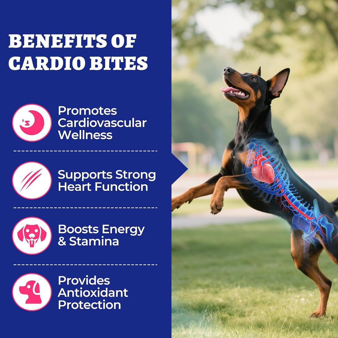 Wellix 260g Cardio Taurine for Dogs