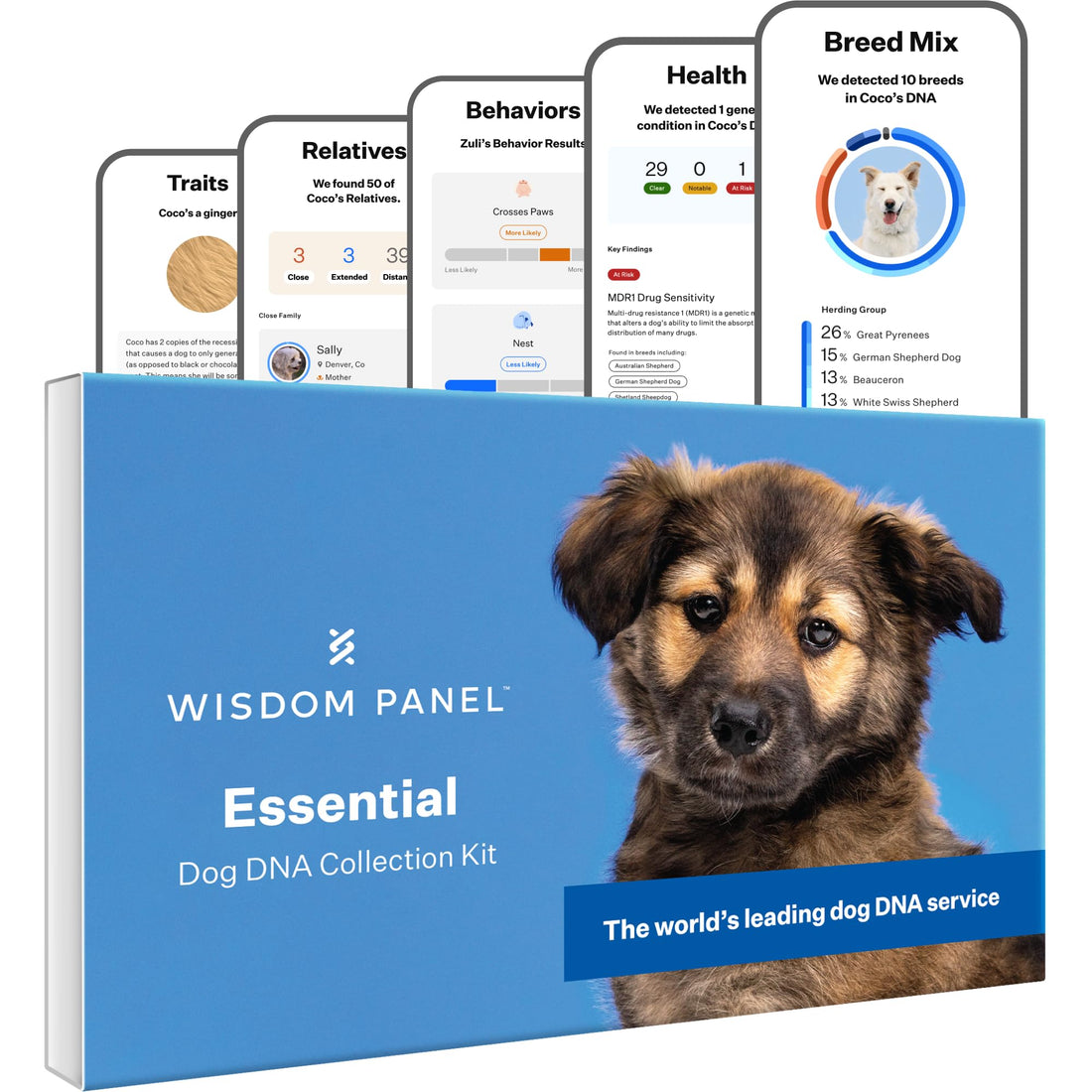 Wisdom Panel Essential Dog DNA Kit: Most Accurate Test for 365+ Breeds
